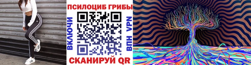 как найти Химки Псилоцибиновые грибы мухоморы